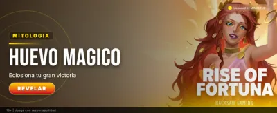 MiCasino App Download